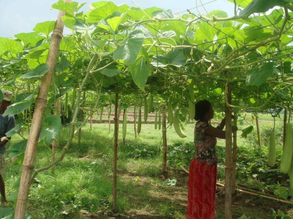 Lease land intervention for marginalized and poor community